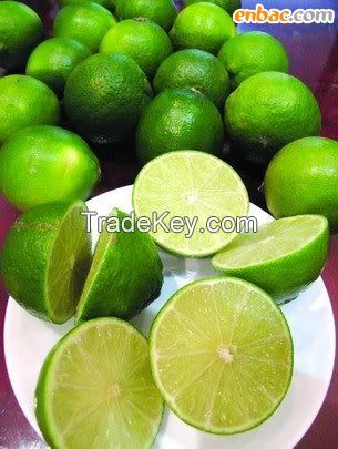 lemon小提琴谱子