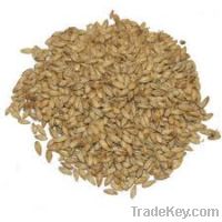 BARLEY MALT - Suppliers of barley malt 