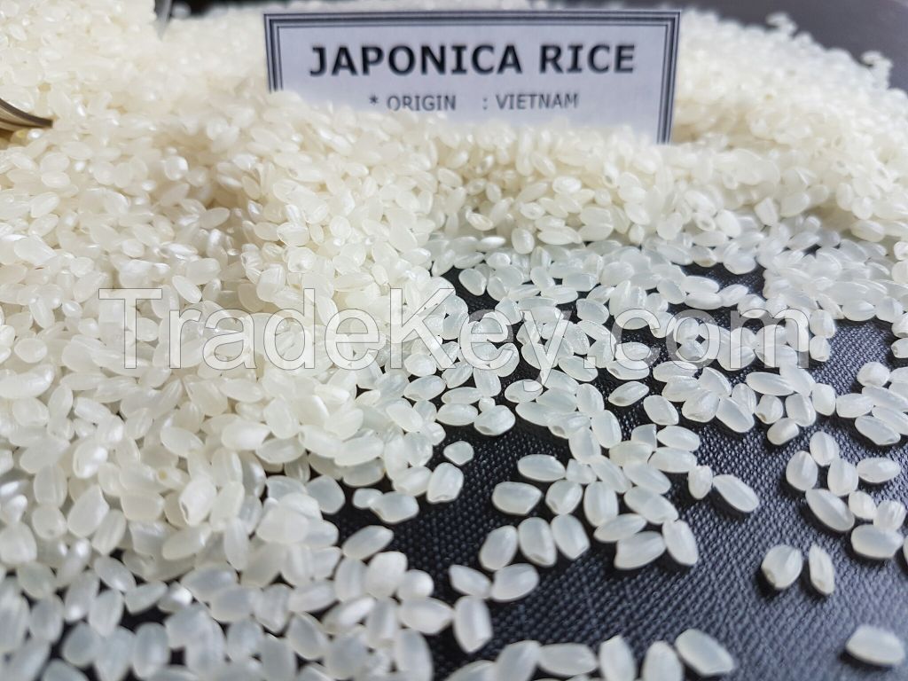 japonica rice