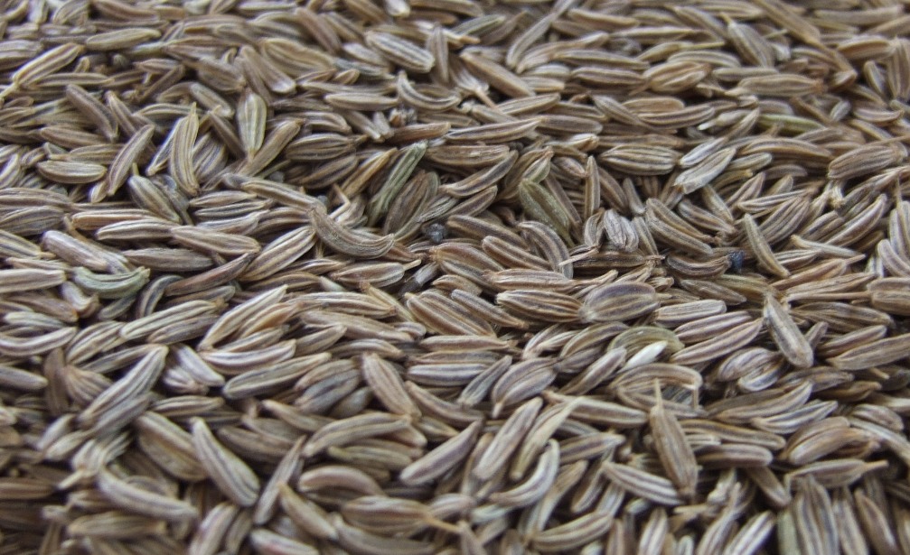 Egyptian Caraway Seeds By ALamir Company For Manufacturing And