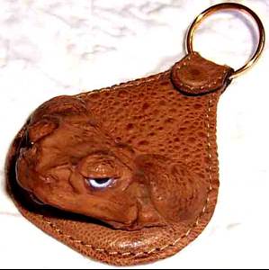 Toad For Oracle Serial Key