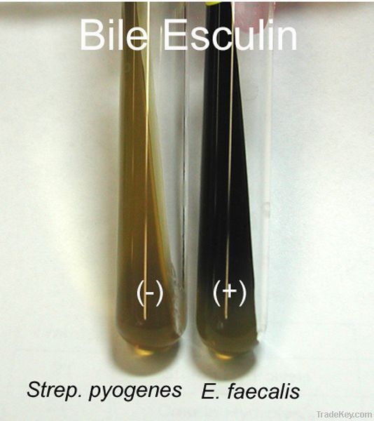 Esculin Hydrolysis