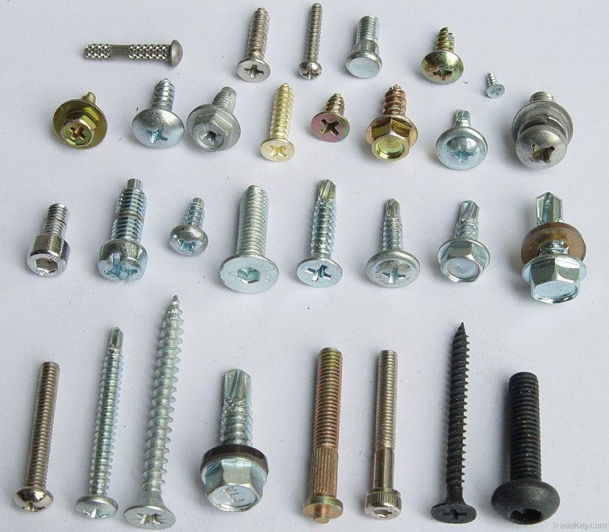 selftapping-screws-selfdrilling-screws-stainless-screws-philips-screw.jpg