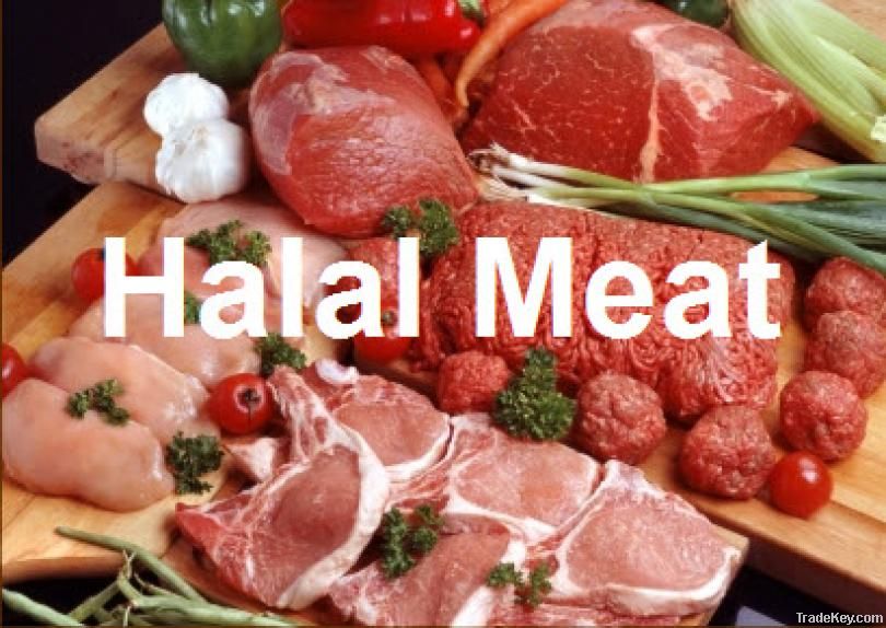 Halal Meat And Chicken By MSSA Group, Poland