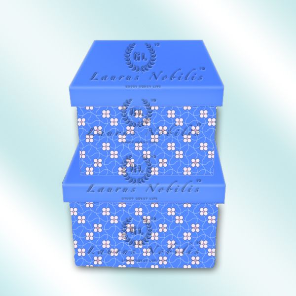 set of 2 high quality luxury gift box