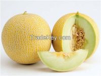 Melons Products Offered By Ministry For 