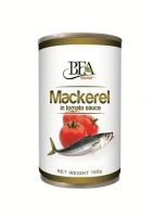 Spanish mackerel,Spanishmackerel sell frozen spanish mackerel iqf / atlantic mackerel fishes