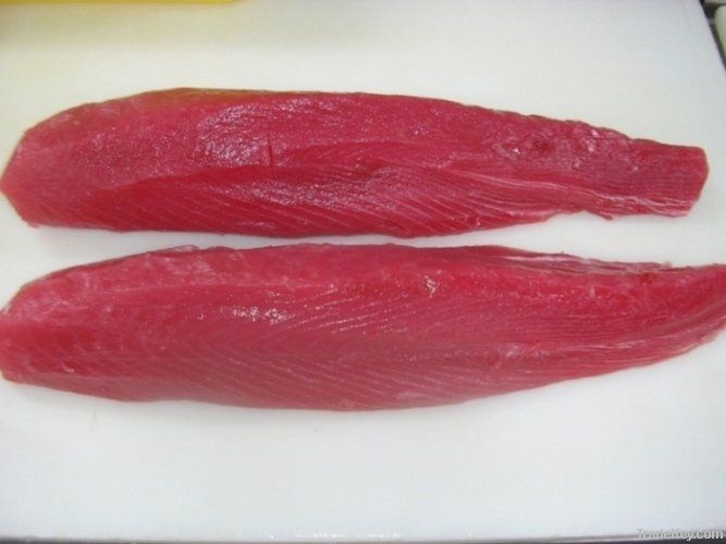 yellow fin tuna | sword fish | grouper | lobster | king fish